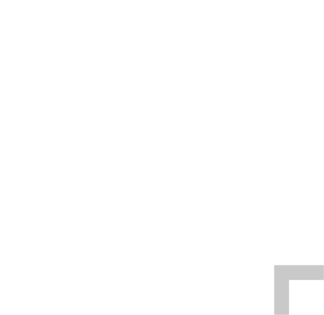 VS